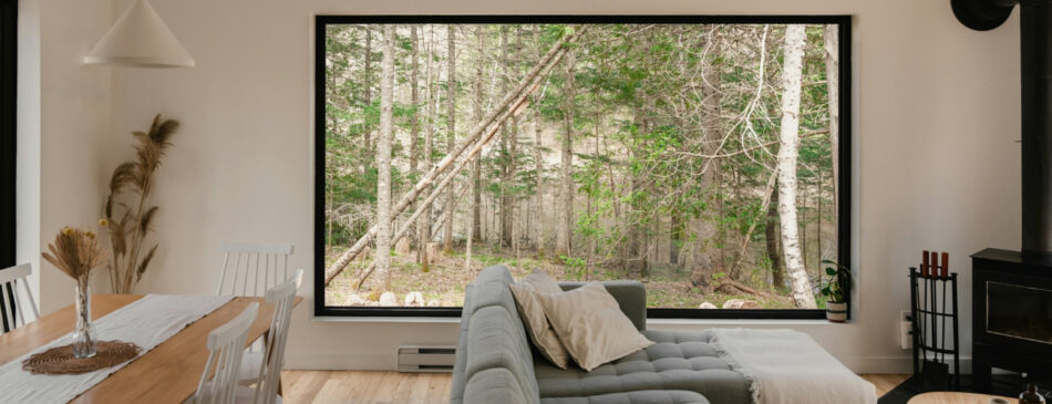 Smart Windows and Glass Technology