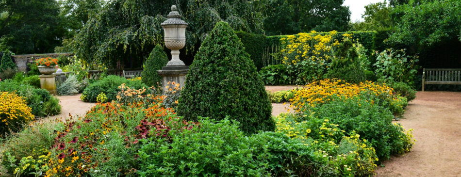Budget-Friendly Landscaping Ideas