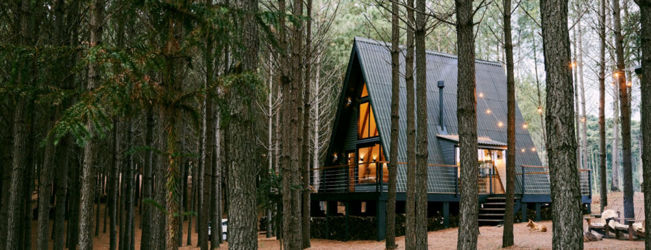 Renovating a Tiny House: Big Ideas for Small Spaces